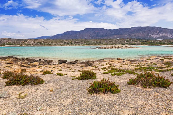 Elafonissi Strand Mit Rosa Sand Auf Beton Griechenland — Stockfoto