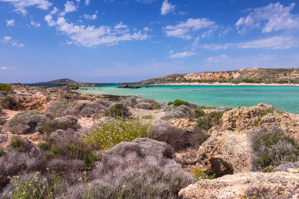 Playa Elafonissi Con Arena Rosa Creta Grecia —  Fotos de Stock