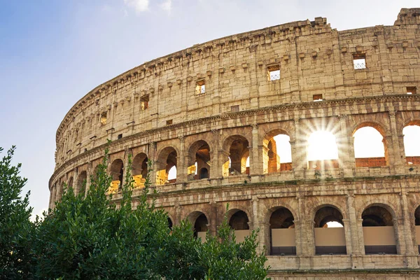 Colosseum Rom Vid Soluppgången Italien — Stockfoto