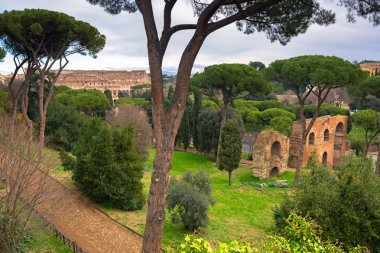 Colosseum görünümünden Palatino tepesi Roma, İtalya