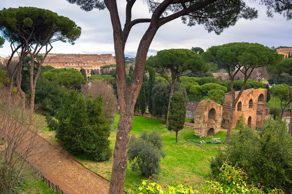 Colosseo Vista Dal Colle Palatino Roma — Foto Stock