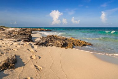 Playa del Carmen, Meksika güzel Karayip Denizi kumsal