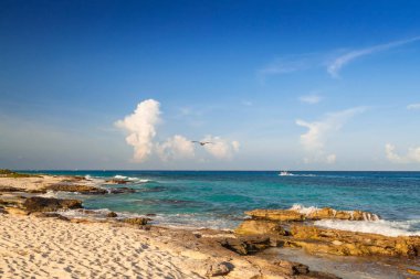 Playa del Carmen, Meksika güzel Karayip Denizi kumsal