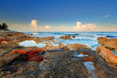 Bir Playa del Carmen yakınındaki Karayip Denizi sahilinde günbatımı, Meksika toplayan