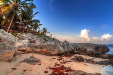 Bir Playa del Carmen yakınındaki Karayip Denizi sahilinde günbatımı, Meksika toplayan
