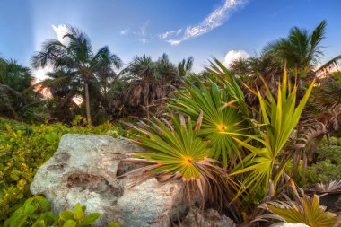 Bir Playa del Carmen yakınındaki Karayip Denizi sahilinde günbatımı, Meksika toplayan