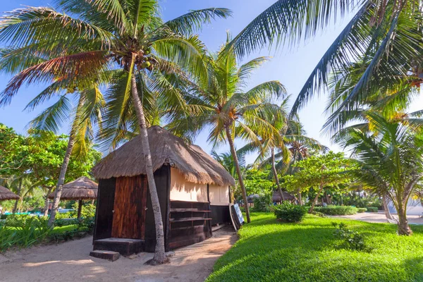 Tropische Kokosnoot Palmbomen Het Strand — Stockfoto