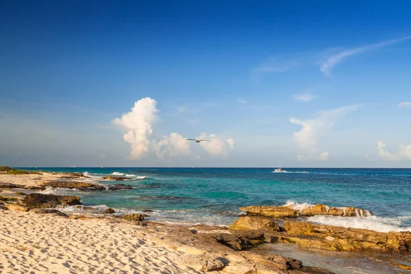 Krásná Pláž Karibského Moře Playa Del Carmen Mexiko — Stock fotografie