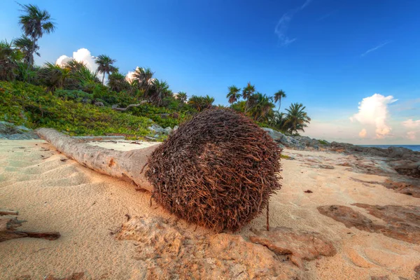 Bir Playa Del Carmen Yakınındaki Karayip Denizi Sahilinde Günbatımı Meksika — Stok fotoğraf