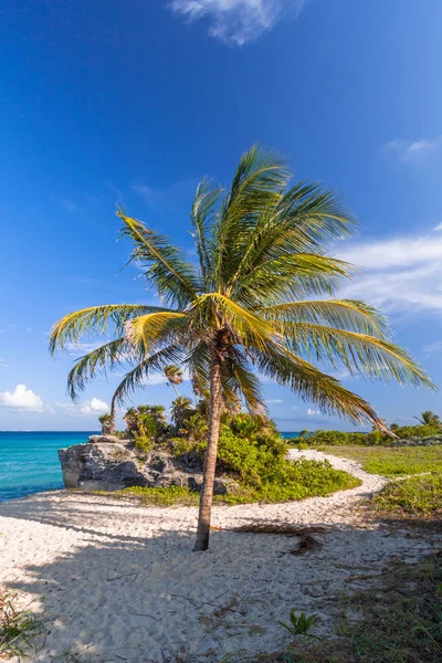 Scenery Caribbean Sea Coast Playa Del Carmen Sunset Mexico — Stock Photo, Image