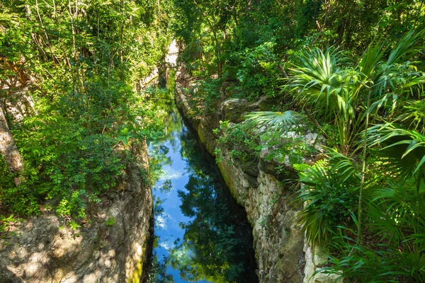 Unterirdischer Fluss Dschungel Von Yucatan Mexiko — Stockfoto