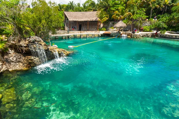 Tropické Vody Džungli Yucatán Mexiko — Stock fotografie