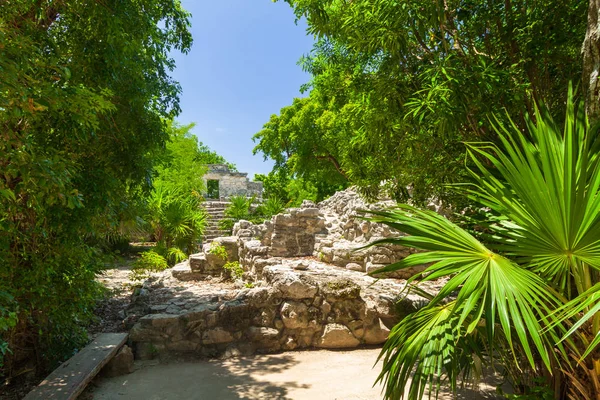 Ruines Antiques Dans Jungle Yucatan Mexique — Photo