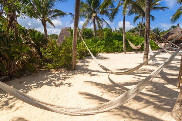 Hammocks Palm Trees Mexico — Stock Photo, Image