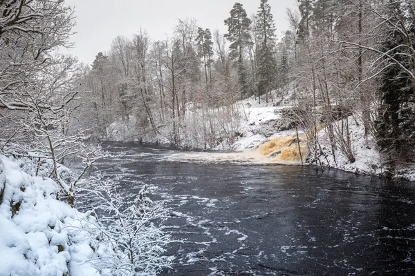 Vad Morrum Folyó Havas Téli Svédország — Stock Fotó