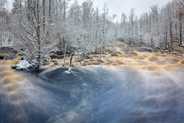 Дикая Река Моррум Снежной Зиме Швеция — стоковое фото