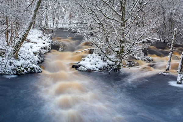 Rio Morrum Selvagem Inverno Nevado Suécia — Fotografia de Stock