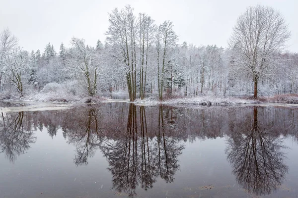 Morrum Rzeki Snowy Zimowych Scenerii Szwecja — Zdjęcie stockowe