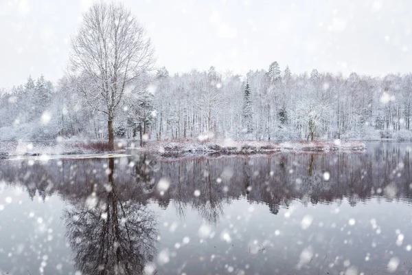 Morrum Řeka Zasněžené Zimní Scenérie Švédsko — Stock fotografie