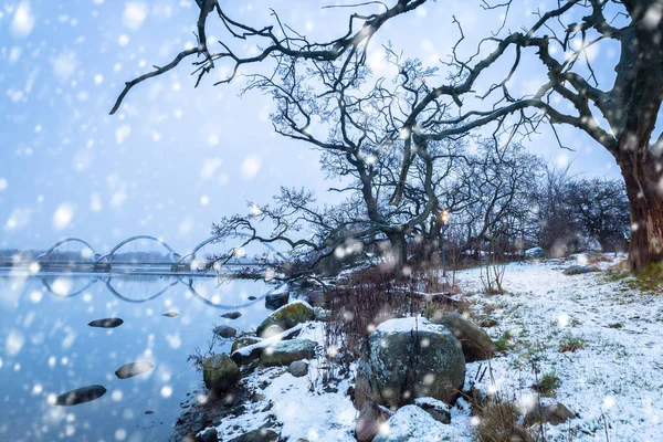 Ostseeküste Bei Solvesborg Winter Schweden — Stockfoto