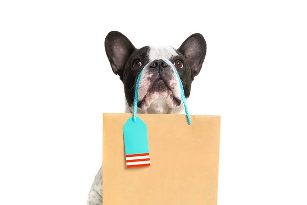 Bulldog Francês Com Saco Compras — Fotografia de Stock