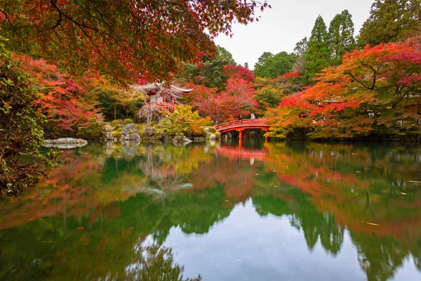 Mooie Japanse Tuin Met Kleurrijke Esdoorns Herfst Kyoto — Stockfoto