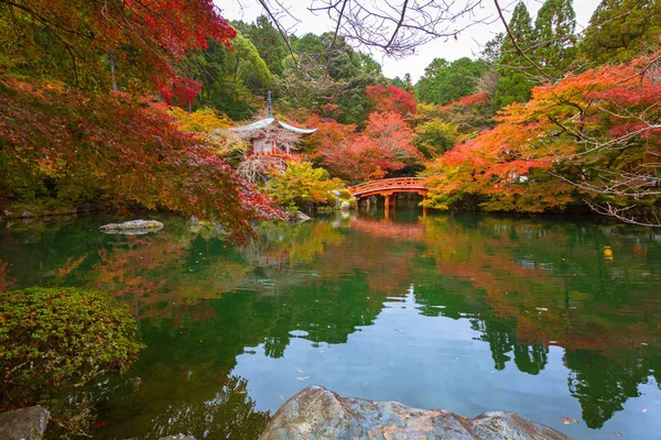 Piękny Japoński Ogród Kolorowymi Drzewami Klonu Jesienią Kioto — Zdjęcie stockowe