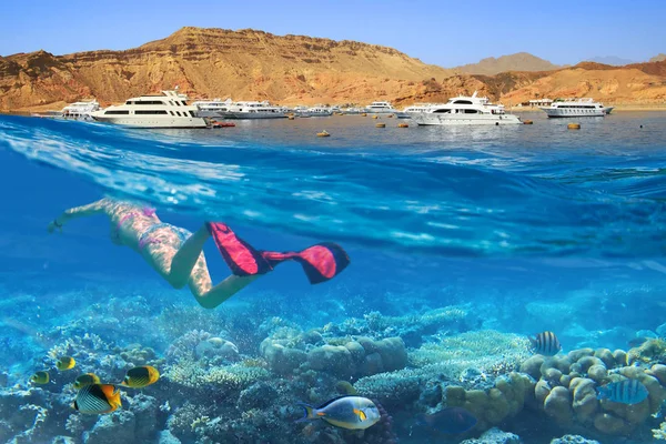 Молодая Женщина Подводном Плавании Тропических Водах Красного Моря Египет — стоковое фото