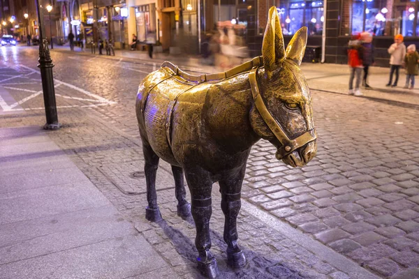 Gece Torun Sokakta Eşek Bronz Anıtı Polonya — Stok fotoğraf