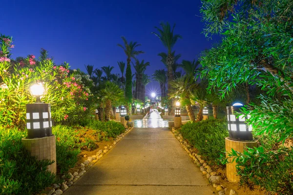 Schöner Weg Mit Palmen Strand Der Türkei — Stockfoto