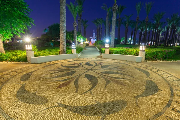 Prachtig Pad Met Palmbomen Aan Het Strand Van Turkije — Stockfoto