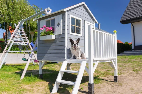 テラスで犬と一緒に子供のための美しい木造ガーデンハウス — ストック写真