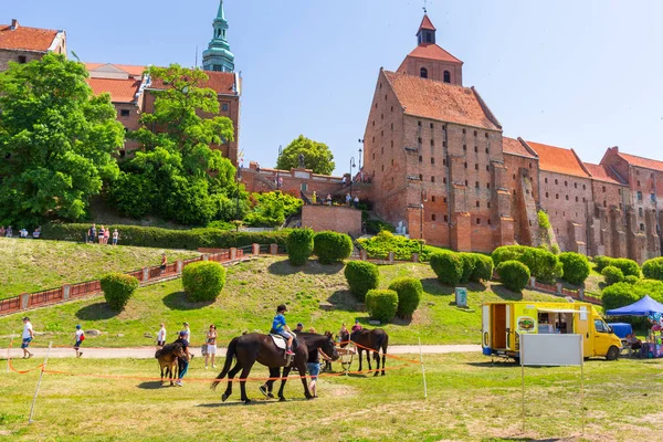 Γκράντζανταζ Πολωνία Ιουνίου 2019 Διαγωνισμός Για Την Μεταφορά Αλόγων Στο — Φωτογραφία Αρχείου