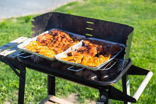 Churrasco Jardim Com Seleção Carne Grelhada — Fotografia de Stock