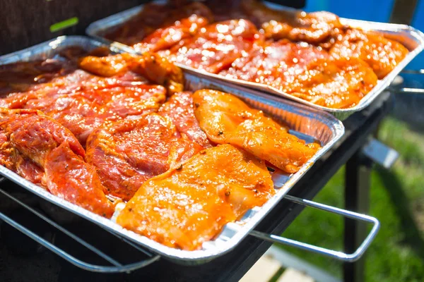 Barbacoa Parrilla Jardín Con Selección Carne Fresca —  Fotos de Stock