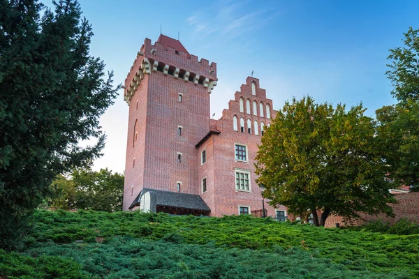 波兰波兹南老城的皇家城堡 — 图库照片