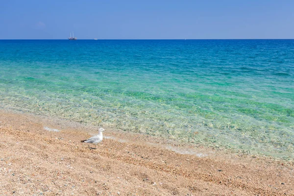 土耳其里维埃拉特基罗娃附近的海滩蓝色泻湖 — 图库照片