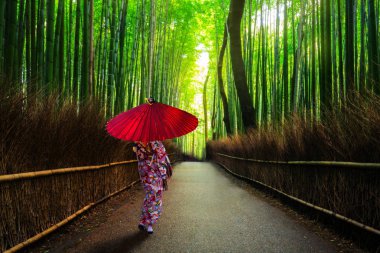 Geleneksel kinono ve kadın ile Arashiyama de Bambu orman