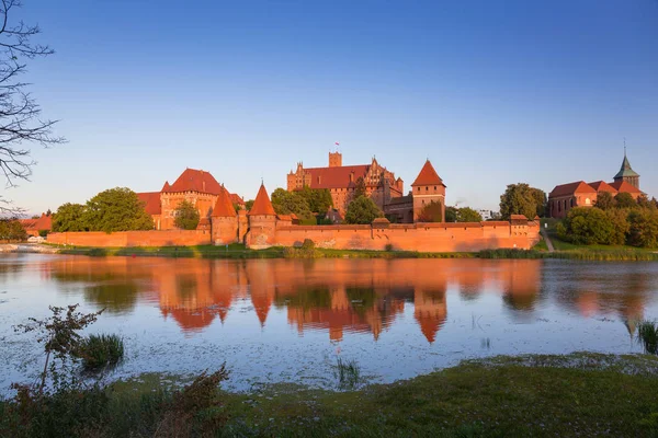 Castillo Malbork Sobre Río Nogat Atardecer Polonia — Foto de Stock