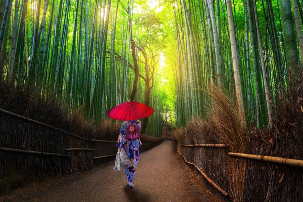 Geleneksel kinono ve şemsiyeli bir kadınla Arashiyama 'da bambu ormanı. Japonya