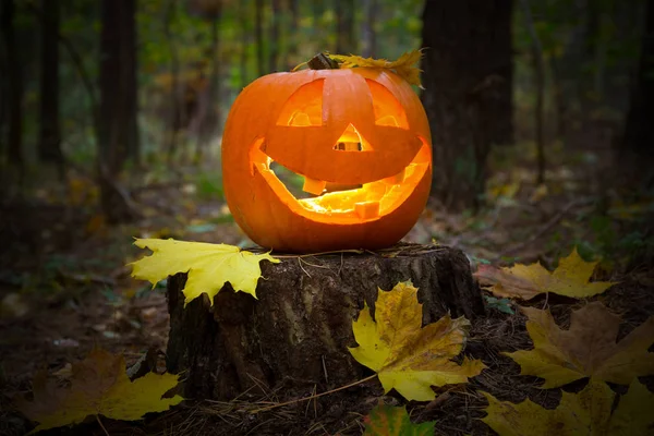 Abóbora Halloween Brilhando Floresta Escura — Fotografia de Stock
