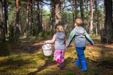 Çocuklar sonbahar ormanlarında yürürler ve mantar toplarlar..
