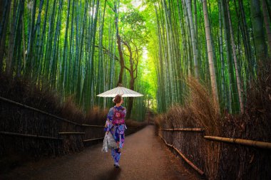 Geleneksel kinono ve şemsiyeli bir kadınla Arashiyama 'da bambu ormanı. Japonya