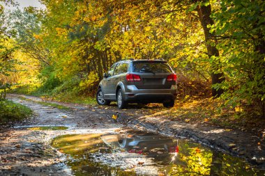 Araba Polonya 'nın sonbahar ormanına park edilmiş.