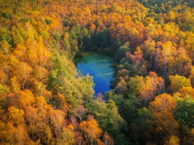 Polonya 'da, ormandaki küçük göletin muhteşem sonbahar manzarası.
