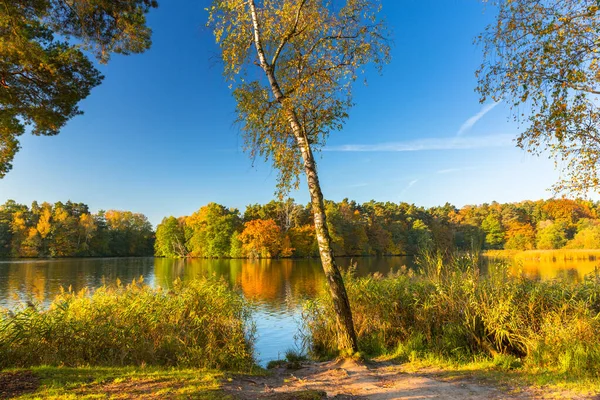 Чудовий Краєвид Озера Восени Польща — стокове фото