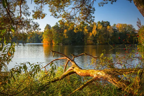 Krásná Krajina Jezera Podzim Polsko — Stock fotografie