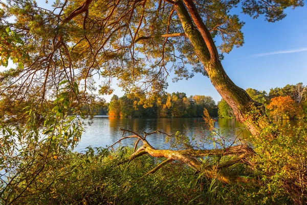 Beau Paysage Lac Automne Pologne — Photo