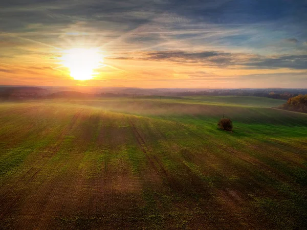 Fantastisk Solnedgång Över Det Gröna Fältet Polen — Stockfoto