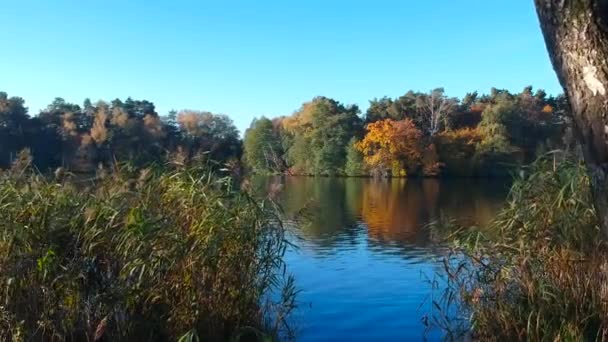 Krajobraz Jeziora Jesienią Polska — Wideo stockowe